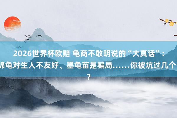 2026世界杯欧赔 龟商不敢明说的“大真话”：锦龟对生人不友好、墨龟苗是骗局……你被坑过几个？