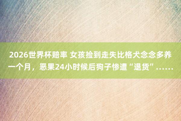 2026世界杯赔率 女孩捡到走失比格犬念念多养一个月，恶果24小时候后狗子惨遭“退货”……