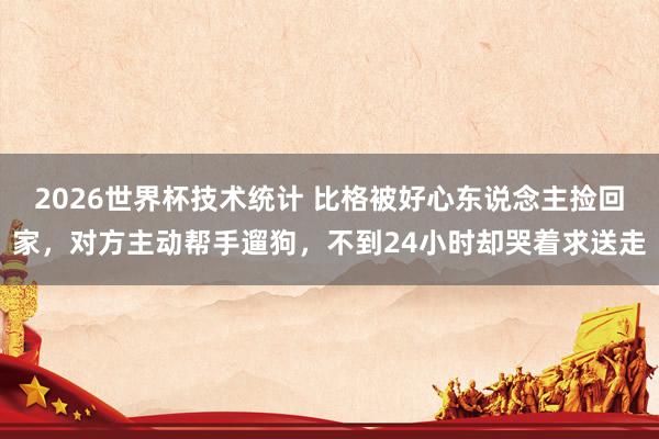 2026世界杯技术统计 比格被好心东说念主捡回家，对方主动帮手遛狗，不到24小时却哭着求送走