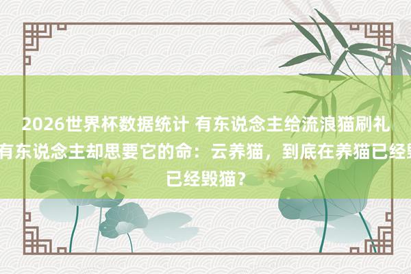 2026世界杯数据统计 有东说念主给流浪猫刷礼物，有东说念主却思要它的命：云养猫，到底在养猫已经毁猫？
