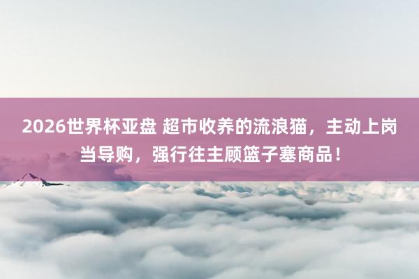 2026世界杯亚盘 超市收养的流浪猫，主动上岗当导购，强行往主顾篮子塞商品！
