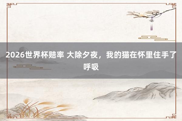 2026世界杯赔率 大除夕夜,我的猫在怀里住手了呼吸
