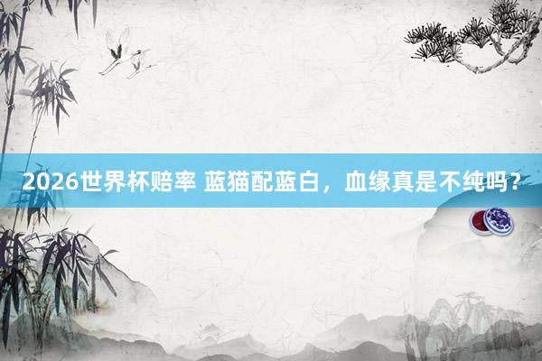 2026世界杯赔率 蓝猫配蓝白，血缘真是不纯吗？