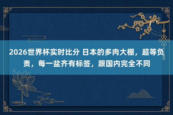 2026世界杯实时比分 日本的多肉大棚，超等负责，每一盆齐有标签，跟国内完全不同