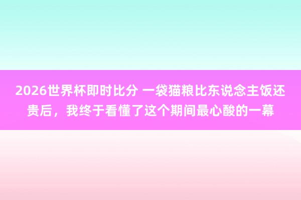 2026世界杯即时比分 一袋猫粮比东说念主饭还贵后，我终于看懂了这个期间最心酸的一幕