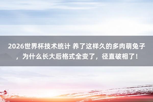 2026世界杯技术统计 养了这样久的多肉萌兔子，为什么长大后格式全变了，径直破相了！