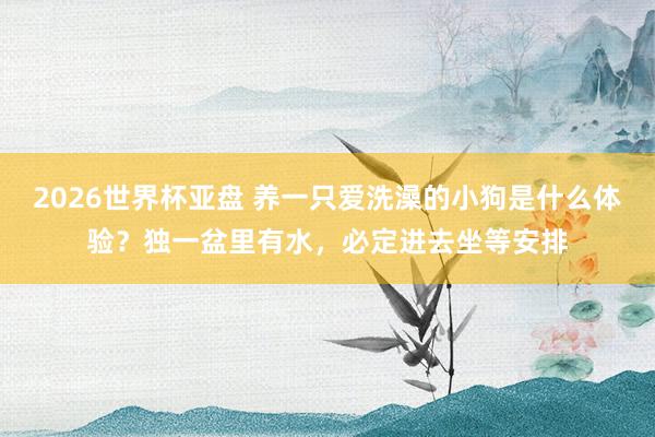 2026世界杯亚盘 养一只爱洗澡的小狗是什么体验？独一盆里有水，必定进去坐等安排