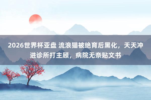 2026世界杯亚盘 流浪猫被绝育后黑化，天天冲进诊所打主顾，病院无奈贴文书