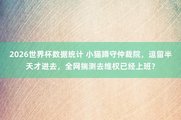 2026世界杯数据统计 小猫蹲守仲裁院，逗留半天才进去，全网揣测去维权已经上班？