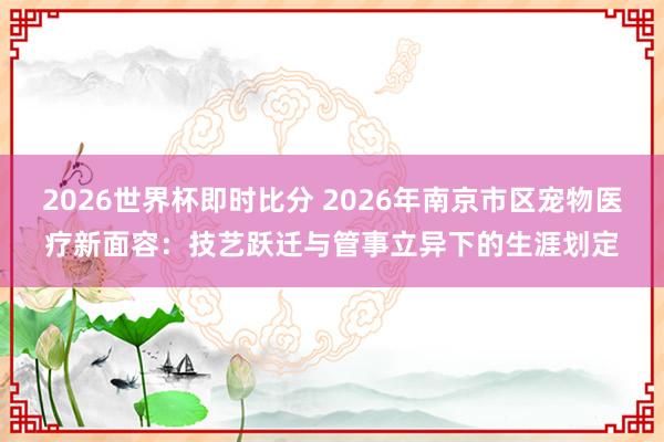 2026世界杯即时比分 2026年南京市区宠物医疗新面容：技艺跃迁与管事立异下的生涯划定