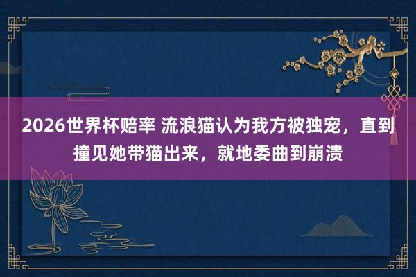 2026世界杯赔率 流浪猫认为我方被独宠，直到撞见她带猫出来，就地委曲到崩溃