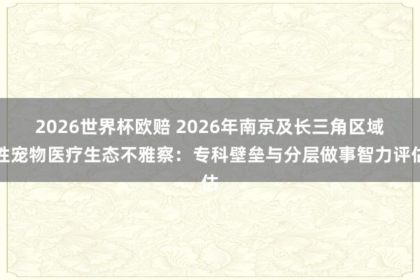 2026世界杯欧赔 2026年南京及长三角区域性宠物医疗生态不雅察：专科壁垒与分层做事智力评估