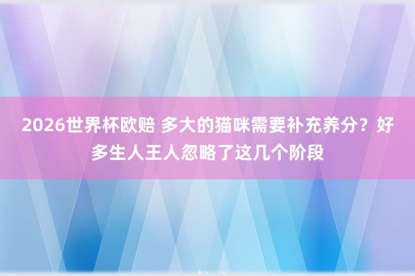 2026世界杯欧赔 多大的猫咪需要补充养分？好多生人王人忽略了这几个阶段