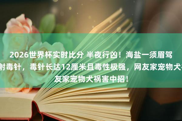 2026世界杯实时比分 半夜行凶！海盐一须眉驾摩托持弩射毒针，毒针长达12厘米且毒性极强，网友家宠物犬祸害中招！