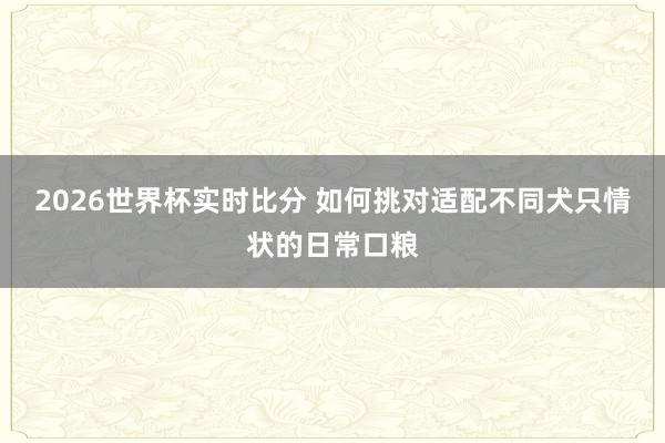 2026世界杯实时比分 如何挑对适配不同犬只情状的日常口粮