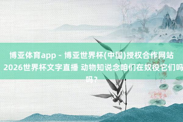 博亚体育app - 博亚世界杯(中国)授权合作网站，2026世界杯文字直播 动物知说念咱们在奴役它们吗？
