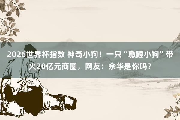 2026世界杯指数 神奇小狗！一只“璷黫小狗”带火20亿元商圈，网友：余华是你吗？