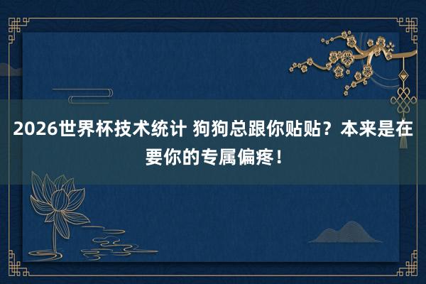 2026世界杯技术统计 狗狗总跟你贴贴？本来是在要你的专属偏疼！