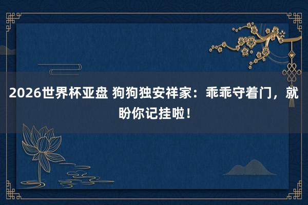 2026世界杯亚盘 狗狗独安祥家：乖乖守着门，就盼你记挂啦！