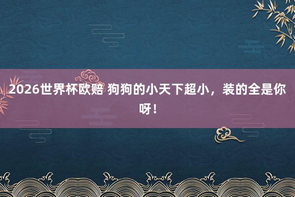 2026世界杯欧赔 狗狗的小天下超小，装的全是你呀！