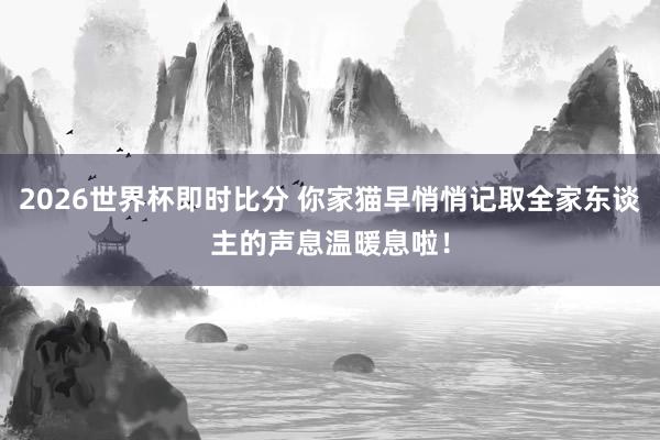 2026世界杯即时比分 你家猫早悄悄记取全家东谈主的声息温暖息啦!