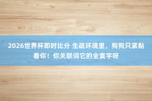 2026世界杯即时比分 生疏环境里，狗狗只紧黏着你！你关联词它的全寰宇呀