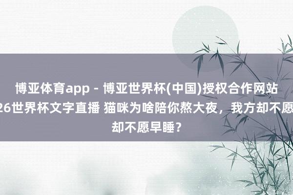 博亚体育app - 博亚世界杯(中国)授权合作网站，2026世界杯文字直播 猫咪为啥陪你熬大夜，我方却不愿早睡？