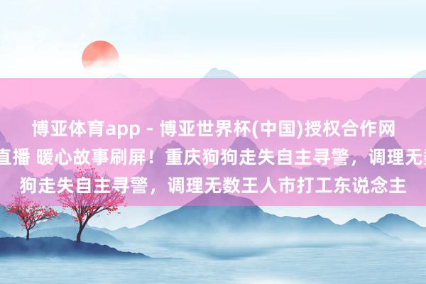 博亚体育app - 博亚世界杯(中国)授权合作网站，2026世界杯文字直播 暖心故事刷屏！重庆狗狗走失自主寻警，调理无数王人市打工东说念主