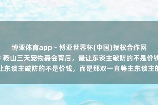 博亚体育app - 博亚世界杯(中国)授权合作网站，2026世界杯文字直播 鞍山三天宠物嘉会背后，最让东谈主破防的不是价钱，而是那双一直等主东谈主的眼睛