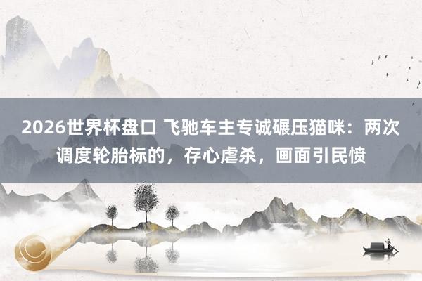 2026世界杯盘口 飞驰车主专诚碾压猫咪：两次调度轮胎标的，存心虐杀，画面引民愤
