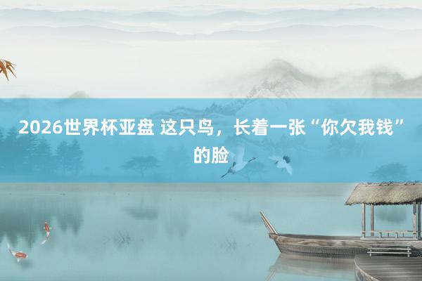 2026世界杯亚盘 这只鸟，长着一张“你欠我钱”的脸