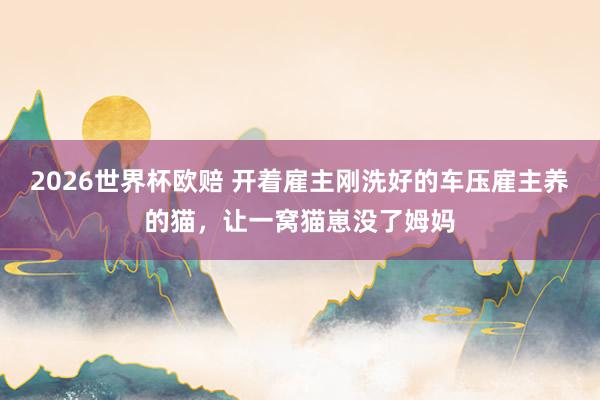 2026世界杯欧赔 开着雇主刚洗好的车压雇主养的猫，让一窝猫崽没了姆妈