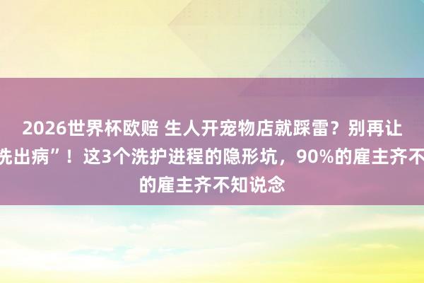 2026世界杯欧赔 生人开宠物店就踩雷？别再让猫咪“洗出病”！这3个洗护进程的隐形坑，90%的雇主齐不知说念