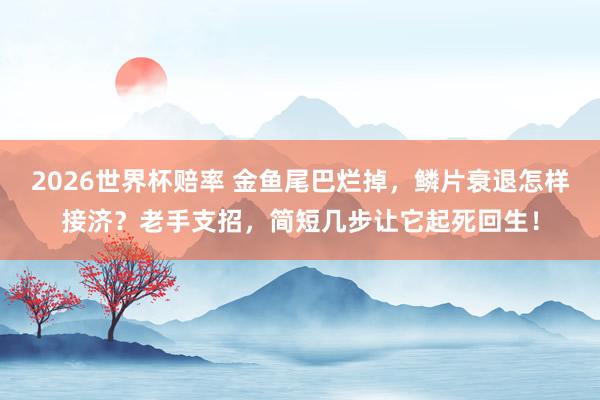 2026世界杯赔率 金鱼尾巴烂掉，鳞片衰退怎样接济？老手支招，简短几步让它起死回生！