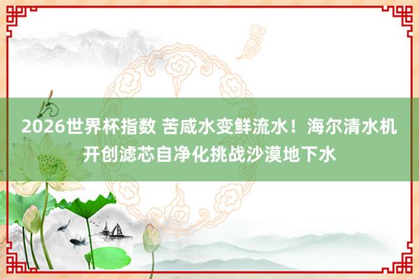 2026世界杯指数 苦咸水变鲜流水！海尔清水机开创滤芯自净化挑战沙漠地下水