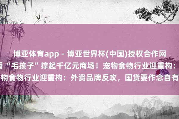 博亚体育app - 博亚世界杯(中国)授权合作网站，2026世界杯文字直播 “毛孩子”撑起千亿元商场！宠物食物行业迎重构：外资品牌反攻，国货要作念自有高端品牌