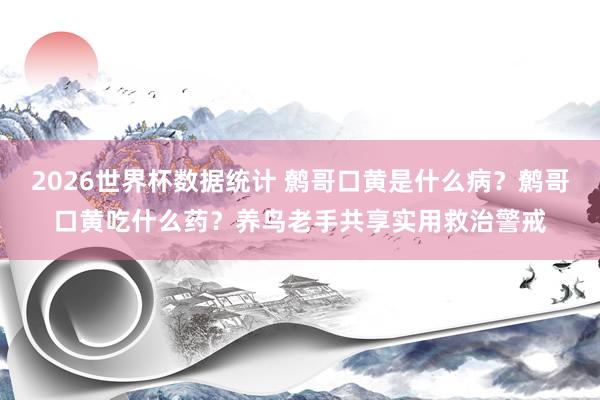 2026世界杯数据统计 鹩哥口黄是什么病？鹩哥口黄吃什么药？养鸟老手共享实用救治警戒