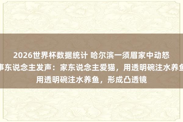 2026世界杯数据统计 哈尔滨一须眉家中动怒又被浇灭，当事东说念主发声：家东说念主爱猫，用透明碗注水养鱼，形成凸透镜