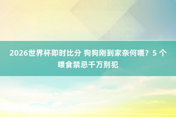 2026世界杯即时比分 狗狗刚到家奈何喂？5 个喂食禁忌千万别犯