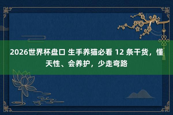2026世界杯盘口 生手养猫必看 12 条干货，懂天性、会养护，少走弯路
