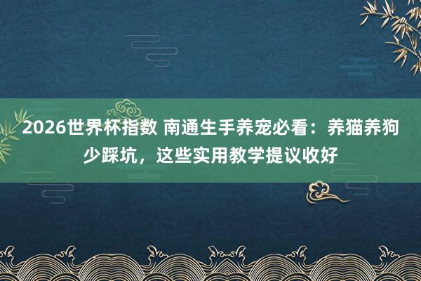 2026世界杯指数 南通生手养宠必看:养猫养狗少踩坑,这些实用教学提议收好