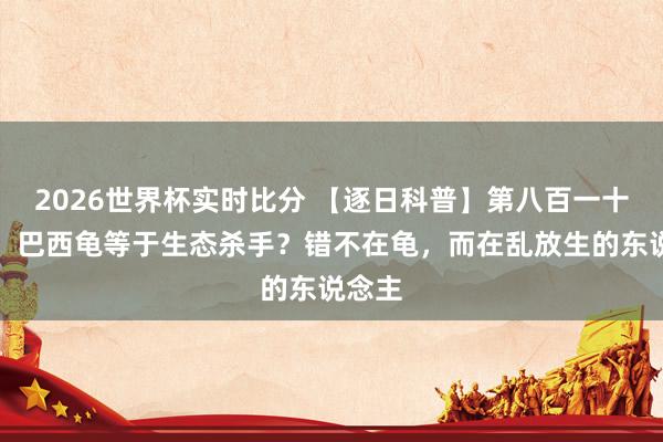 2026世界杯实时比分 【逐日科普】第八百一十六期：巴西龟等于生态杀手？错不在龟，而在乱放生的东说念主