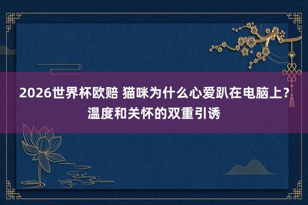 2026世界杯欧赔 猫咪为什么心爱趴在电脑上？温度和关怀的双重引诱