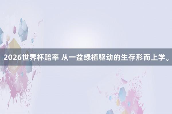 2026世界杯赔率 从一盆绿植驱动的生存形而上学。