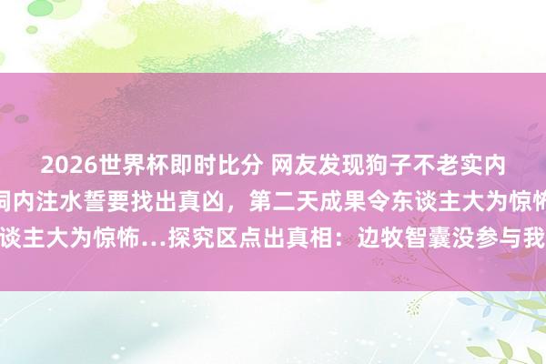 2026世界杯即时比分 网友发现狗子不老实内到处造穴，气得径直往洞内注水誓要找出真凶，第二天成果令东谈主大为惊怖…探究区点出真相：边牧智囊没参与我打死齐不信…