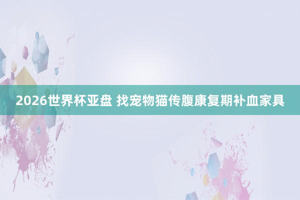 2026世界杯亚盘 找宠物猫传腹康复期补血家具