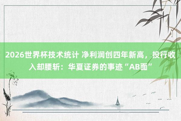 2026世界杯技术统计 净利润创四年新高，投行收入却腰斩：华夏证券的事迹“AB面”