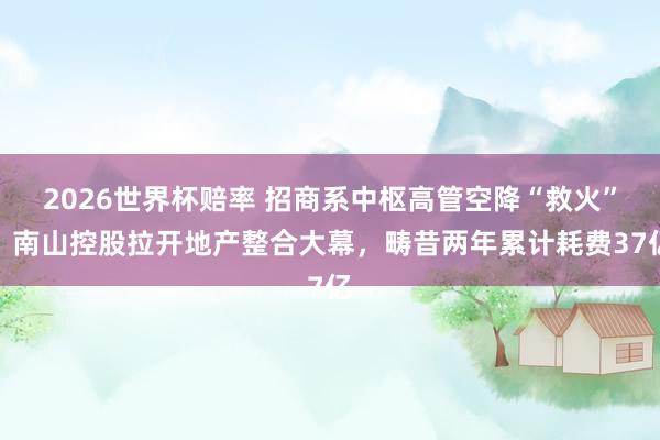 2026世界杯赔率 招商系中枢高管空降“救火”，南山控股拉开地产整合大幕，畴昔两年累计耗费37亿