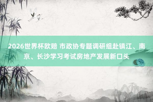 2026世界杯欧赔 市政协专题调研组赴镇江、南京、长沙学习考试房地产发展新口头