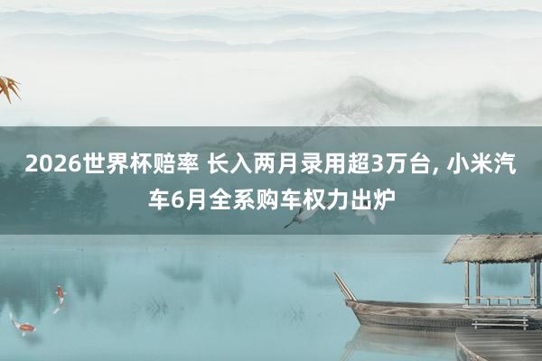 2026世界杯赔率 长入两月录用超3万台， 小米汽车6月全系购车权力出炉